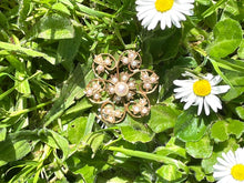 Load image into Gallery viewer, 9ct Yellow Gold Pearl Brooch and Pendant