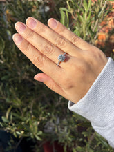 Load image into Gallery viewer, Platinum Diamond Halo Ring with Diamond Shoulders